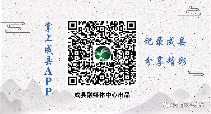 成县2020年后发展,未来空城的规划