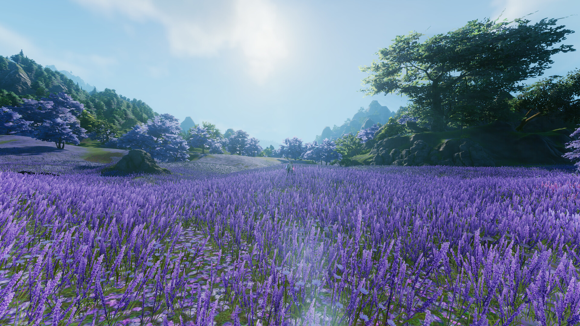 剑网三万花奇穴世外蓬莱,剑网三大唐三大风雅之地