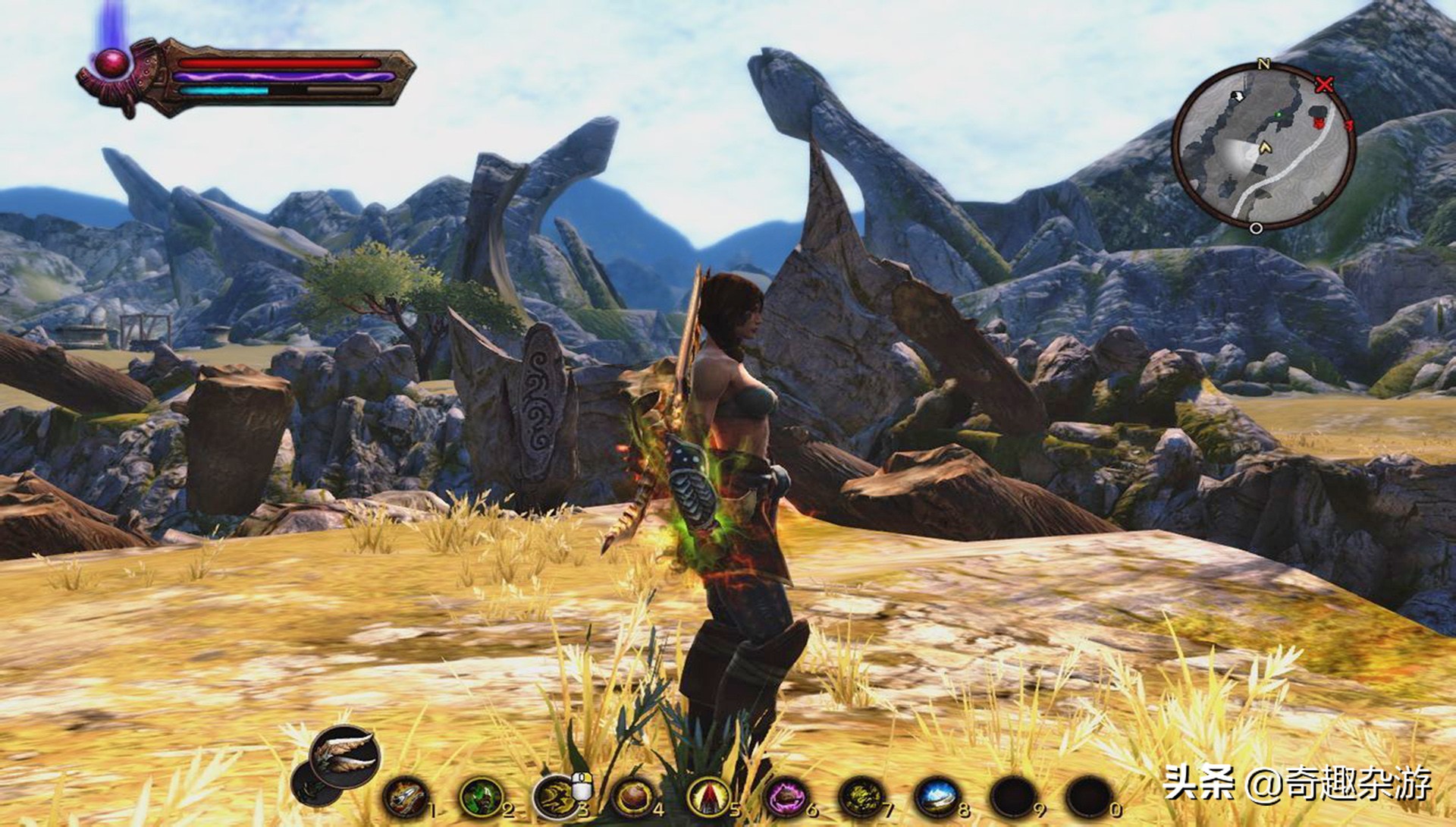 阿玛拉王国游戏心得,阿玛拉王国是单机游戏吗