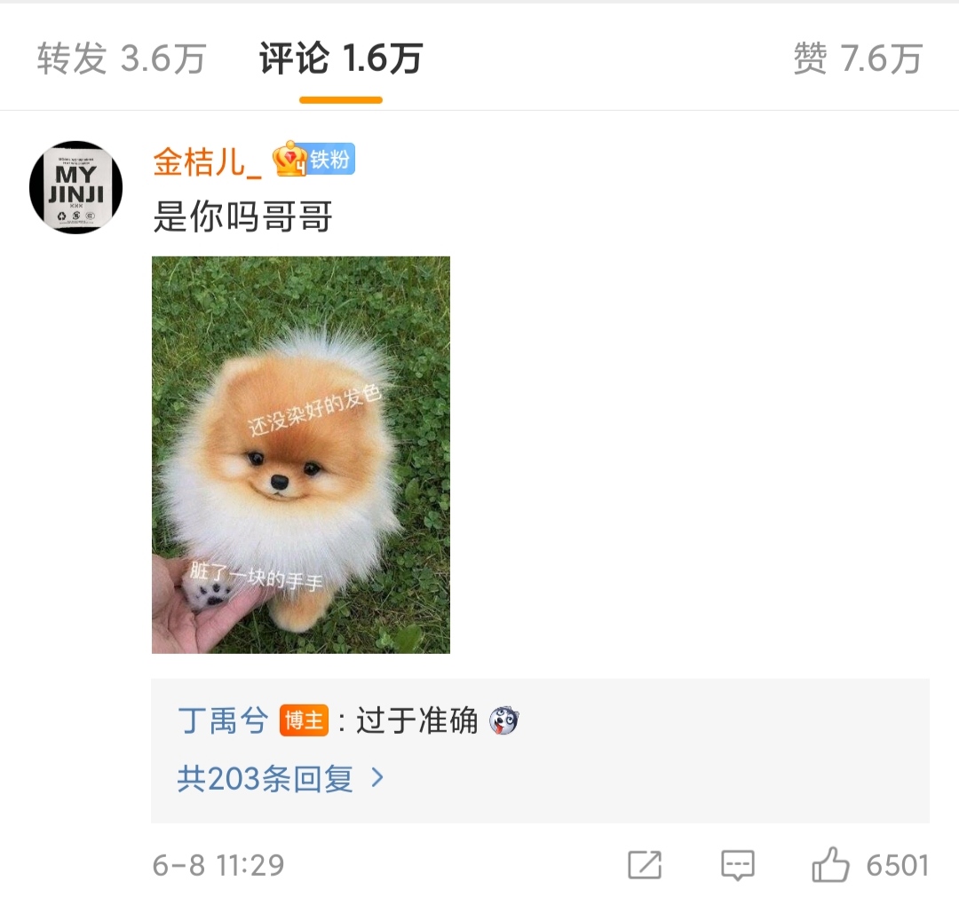 丁禹兮染发洗掉了吗,丁禹兮染发翻车