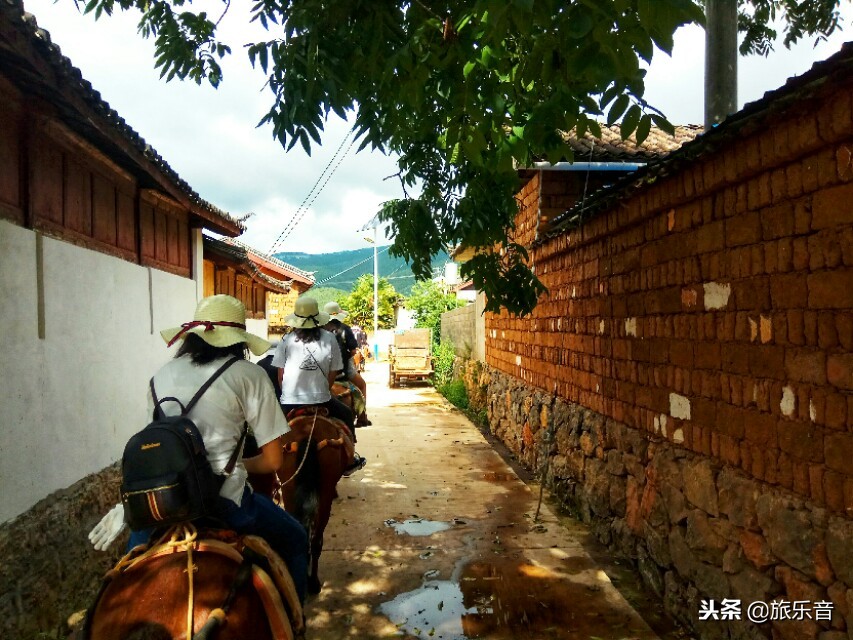 茶马古道拉市海骑马的十个景点,第一次骑马游记