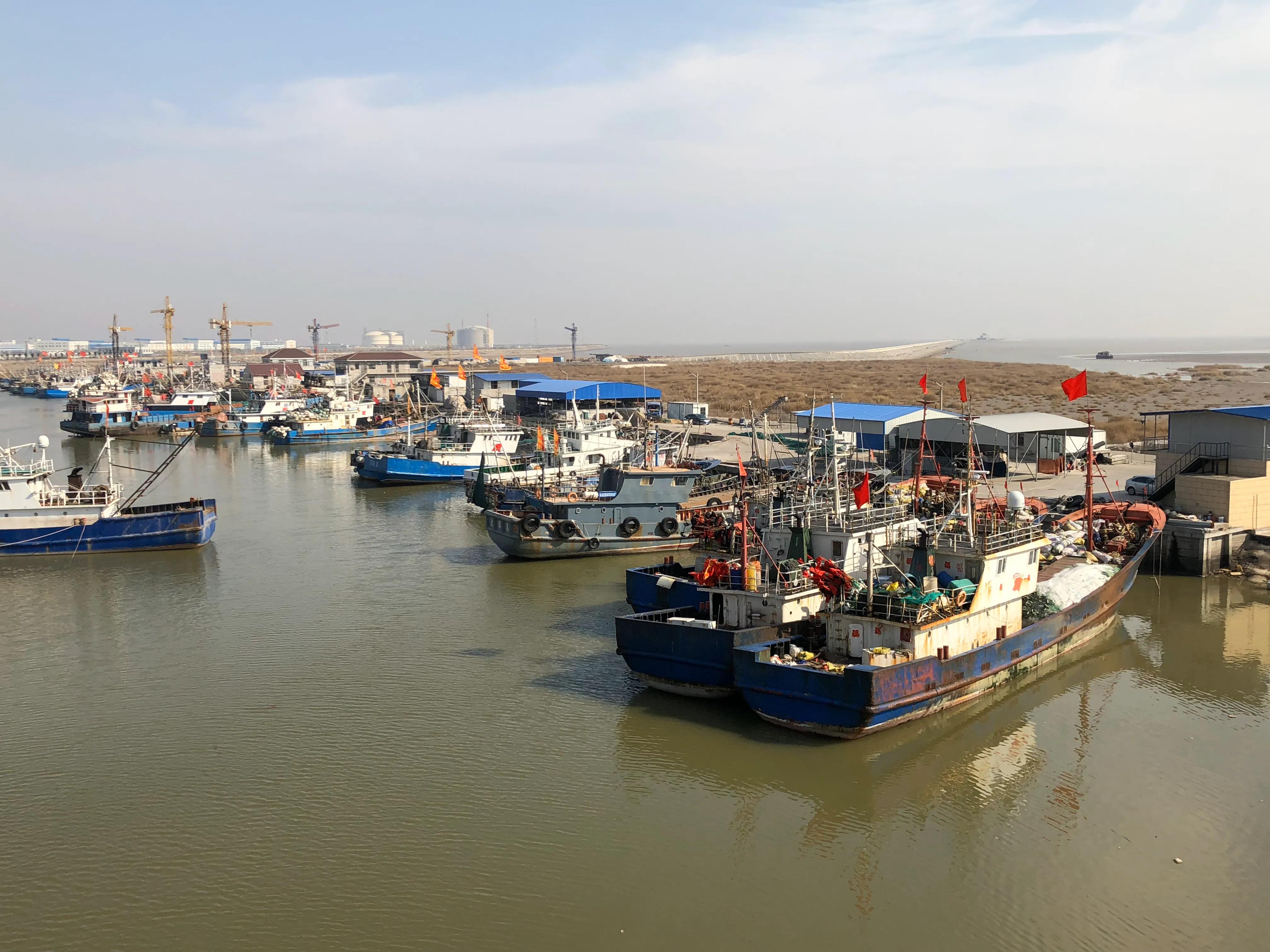 鲜之绝腌梭子蟹,鲜之绝卤鲳鱼