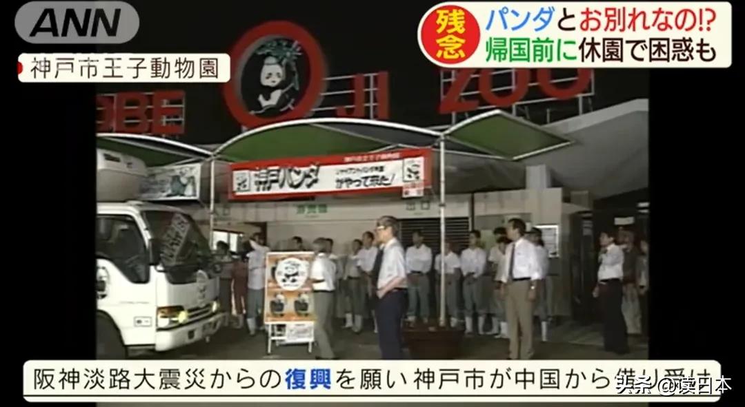 日本的顶级流量担当者大熊猫！日本人的熊猫情结疯狂到你想不到