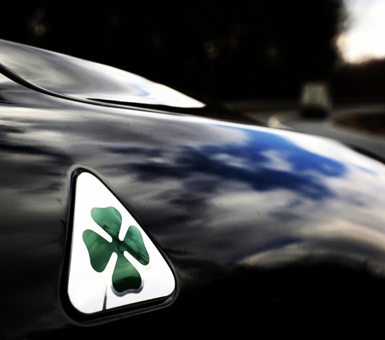 阿尔法罗密欧suv四叶草,地表最快车阿尔法罗密欧