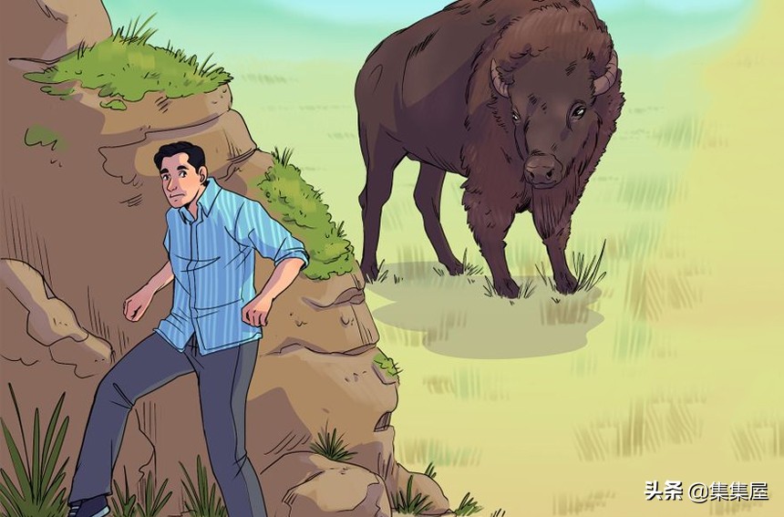 在野外遇到野生动物如何保护自己,在野外遇到凶猛的动物该怎么办呢