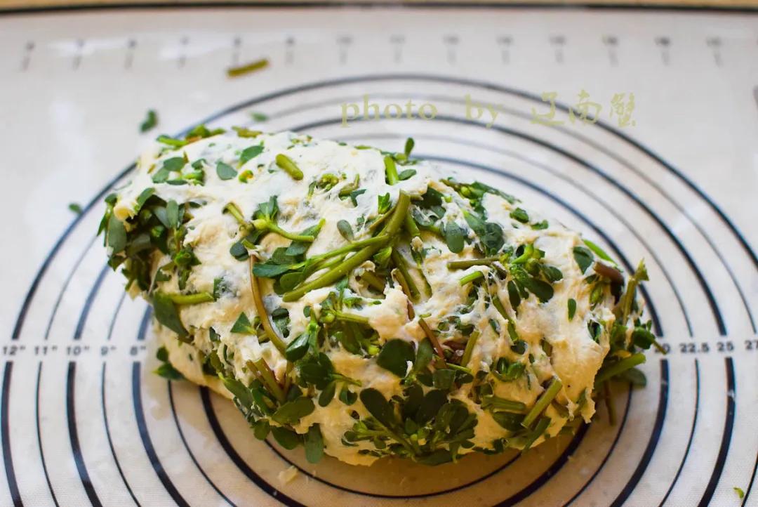 马齿苋是长寿菜你知道吗,马齿苋夏天