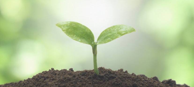 it培训机构应该注意哪些坑,教培机构反对行业歧视