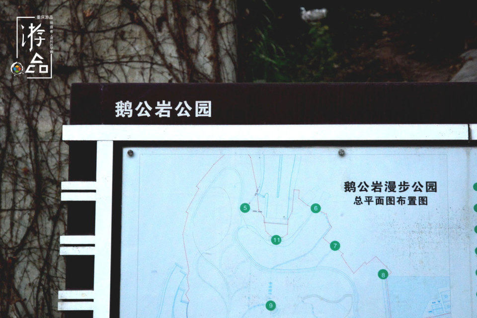 重庆市鹅公岩大桥感受,重庆鹅公岩下公园