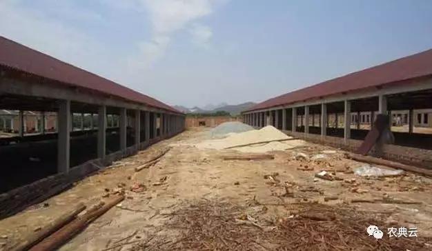一个300头母猪的猪场建设,100头母猪猪场全自动建设