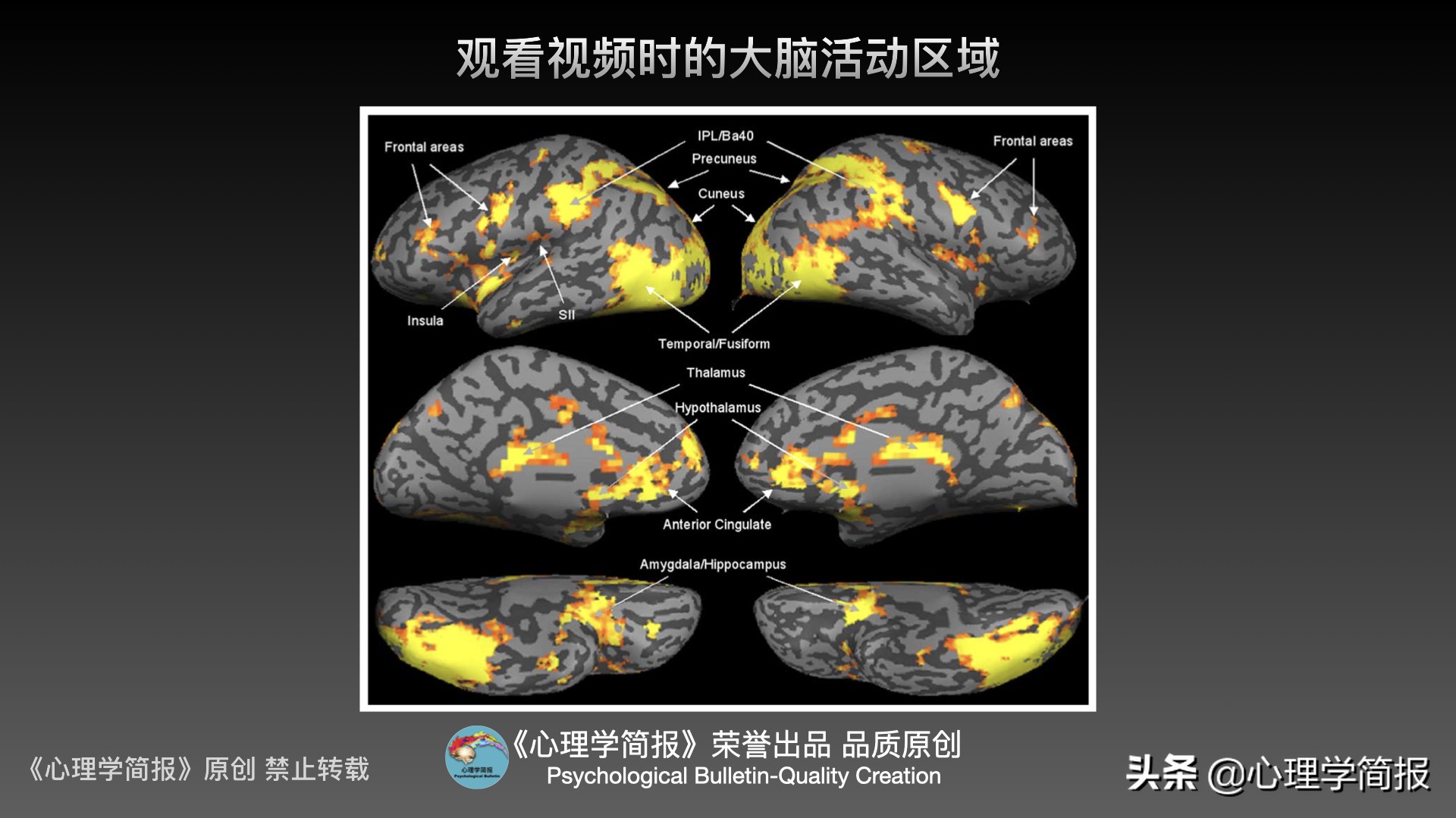 男人性心理机制｜意大利心理学家：是否有生理反应属大脑不同活动