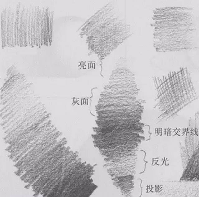 素描会画些什么,素描会涂色吗