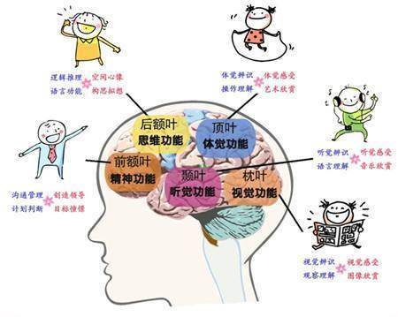 过目不忘的10大记忆秘诀,过目不忘十大记忆法