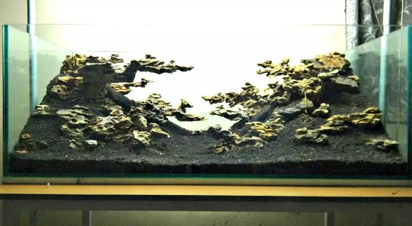 草缸造景教程:胶水造景太温柔,男人就该上电钻