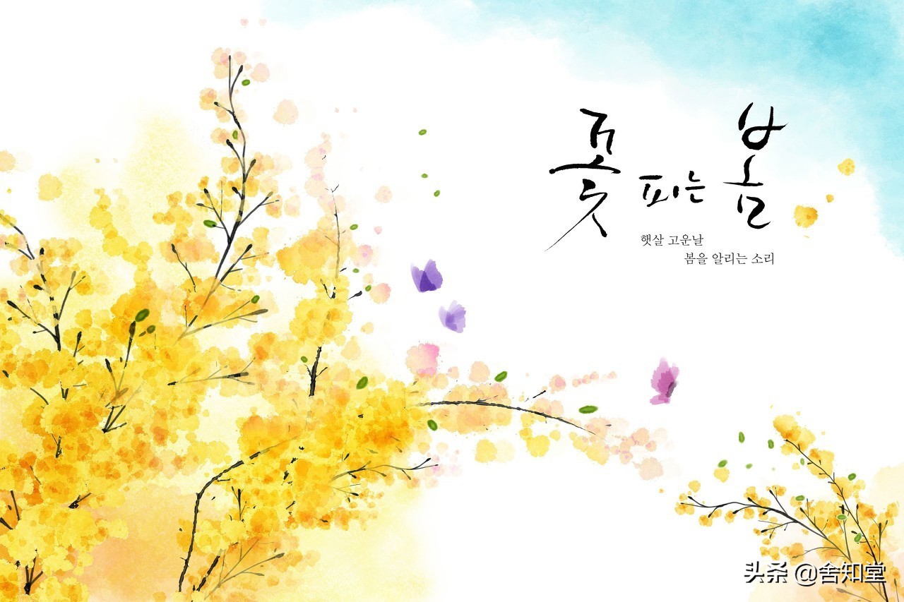 春春都有夜，夜夜不是春