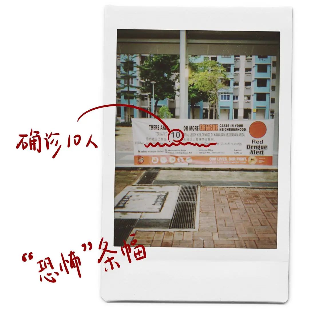 国外留学生的居家隔离生活,国外留学生隔离日常