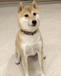 tara智妍写真集,tara智妍仿妆