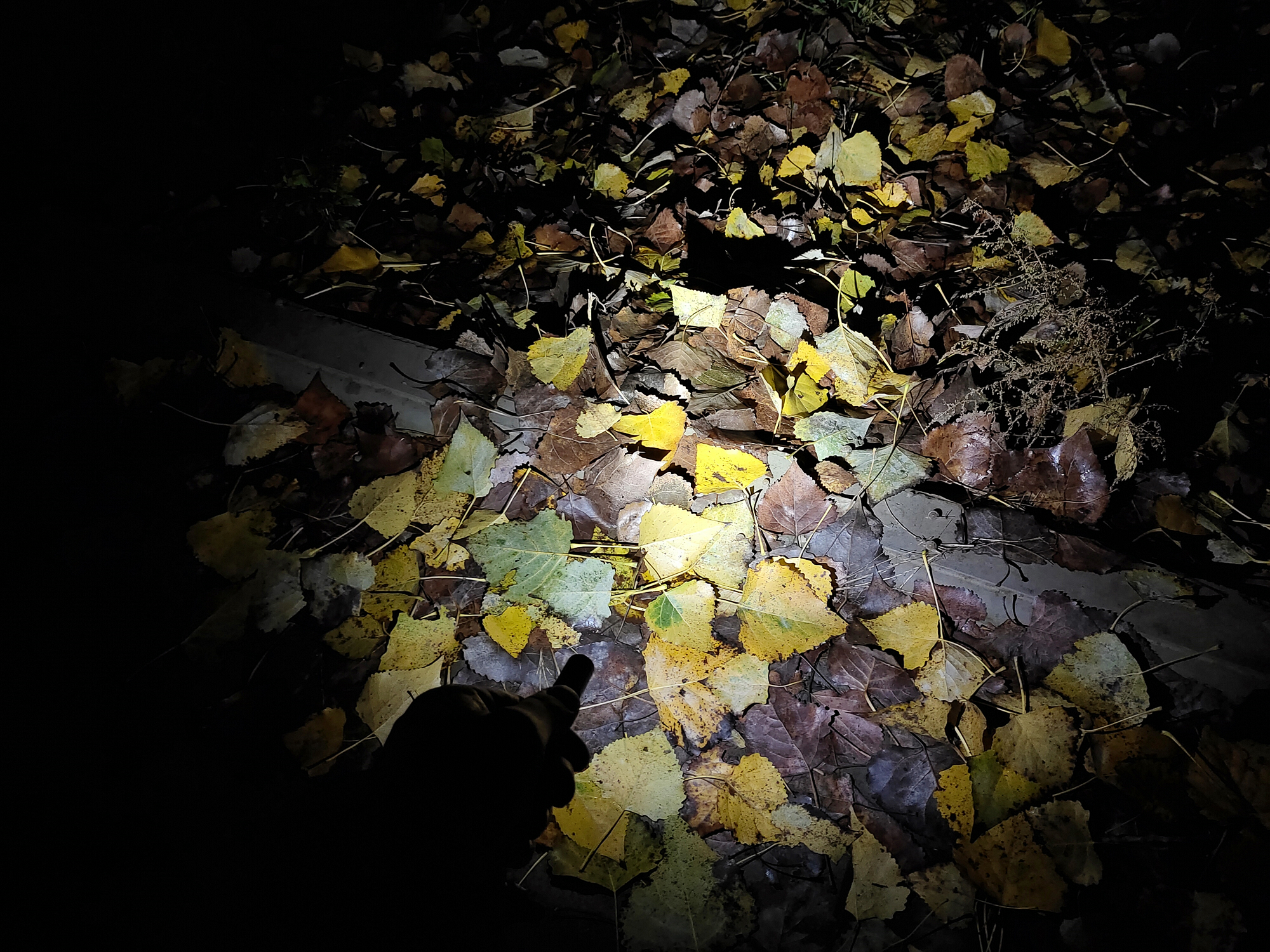 随身应急兼顾把玩——菲尼克斯E02R钥匙扣迷你手电赏评