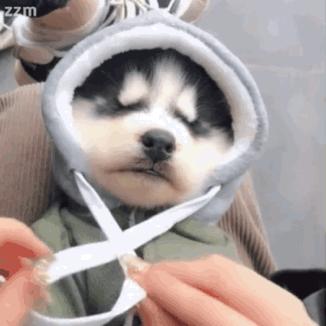 夏天必备遮阳帽戴上它你就是女神,夏季戴着遮阳帽出门太洋气了吧