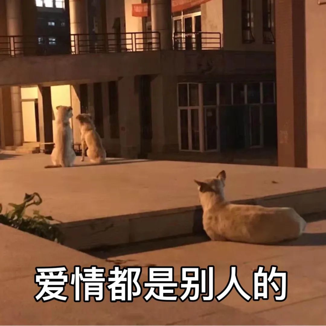 河北科技大学最牛考研,河北科技大学很牛吗