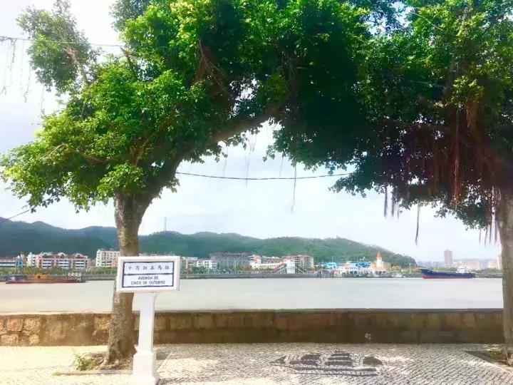 澳门避开人潮攻略,澳门赌场一日游攻略