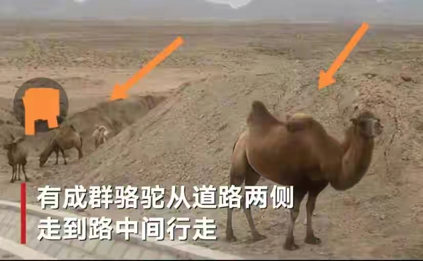 长贵悼念于月仙,于月仙长贵一起走了