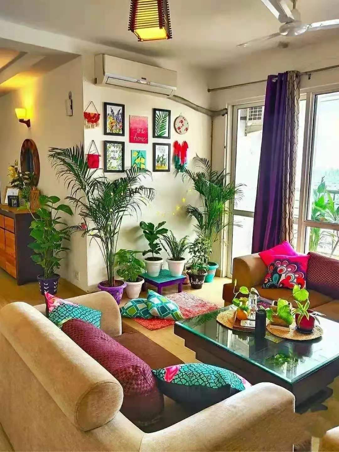 7种招财花春天爆芽,春节养6种招财花