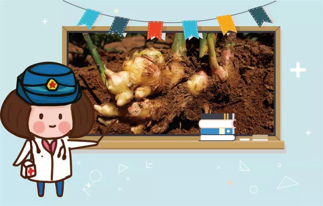 军医小茵,军医小茵所有视频