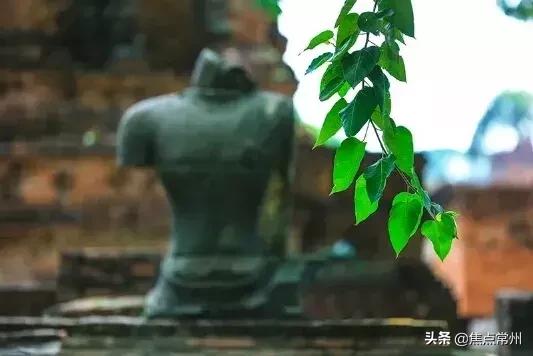 不争自有天地深度好文,不争不抢自有一方天地