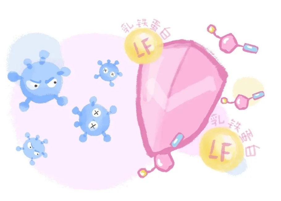 宝乐滋奶粉营养成分,宝乐滋成长奶粉