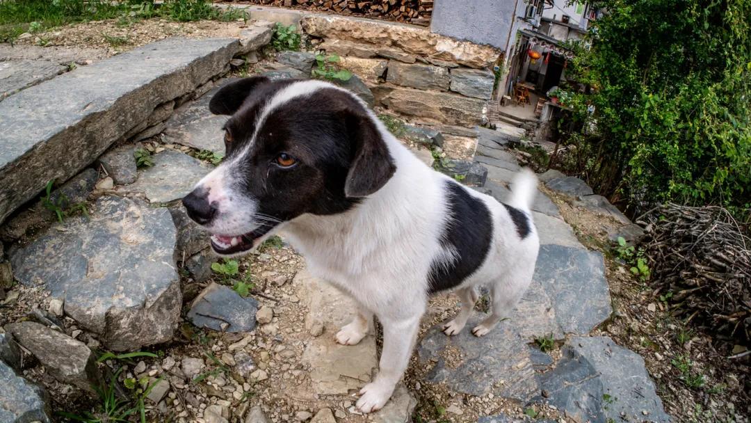 歙县寻古三日游最佳路线,念念不忘自驾游