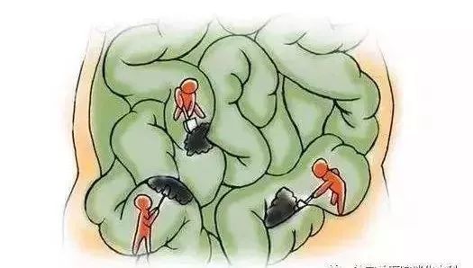 疫情蔓延，免疫力提高是关键！益生菌的秘密你应该要记住