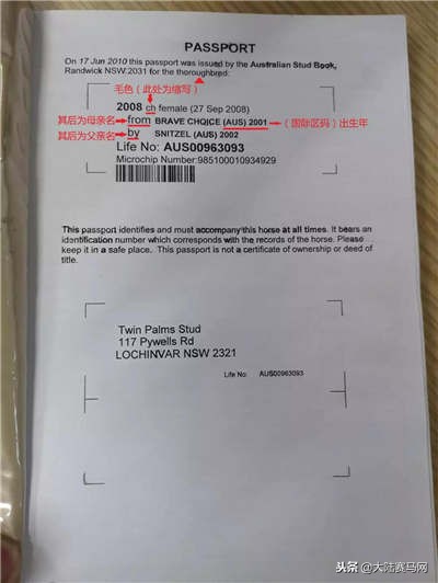 赛马课程,赛马课堂教学