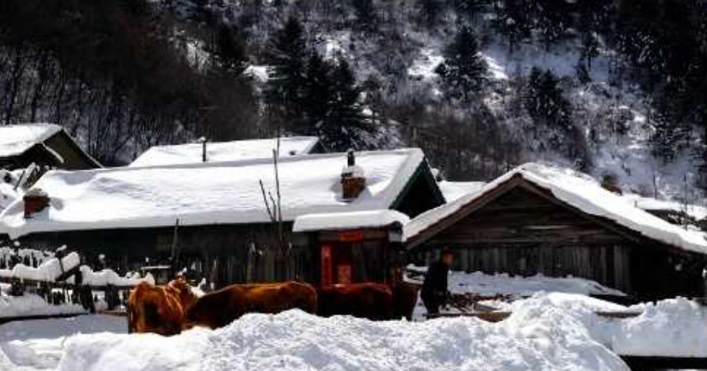 「原创诗词」管恩锋|一缕凉风送佳讯春芽初孕又阳天