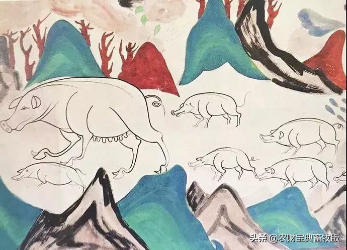 教你如何画猪,来一个画猪教程