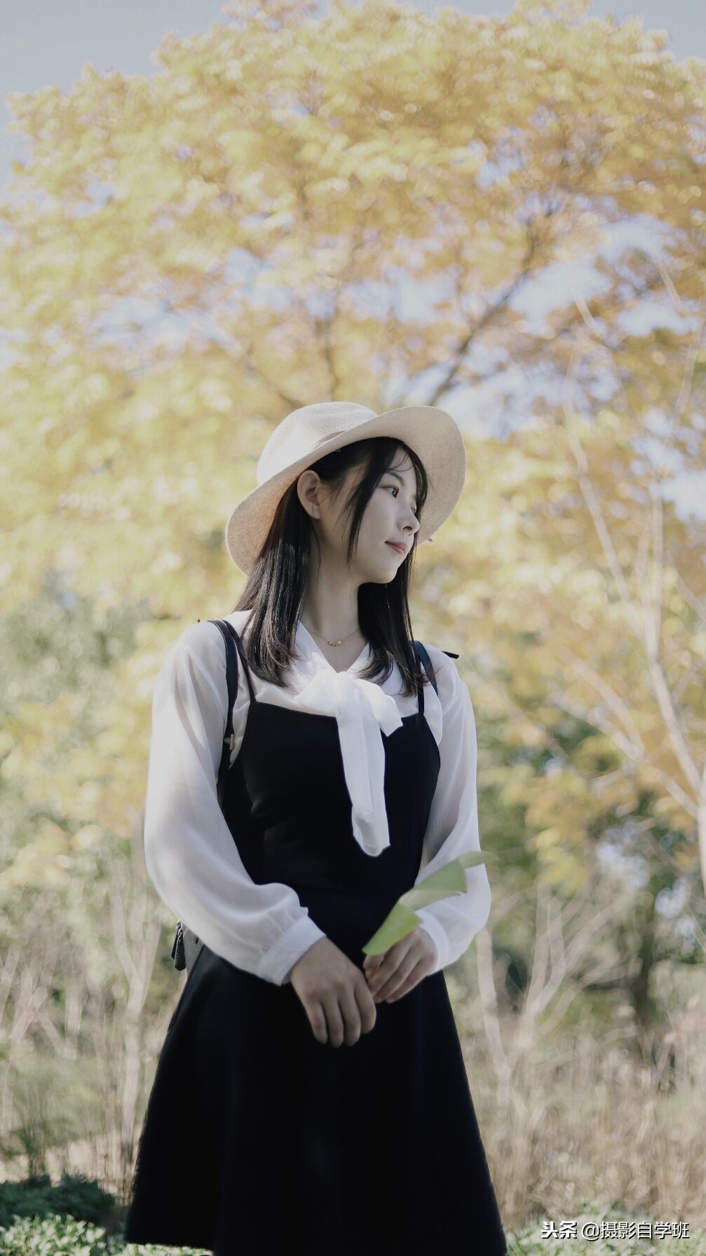 照片鲜艳度怎么调,照片鲜艳调色参数