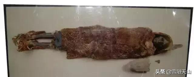 新疆若羌县祁曼塔格乡有多大,最大的县城若羌县