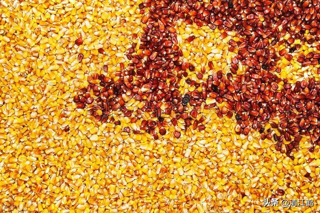 种子销售的前景,种子销售法则