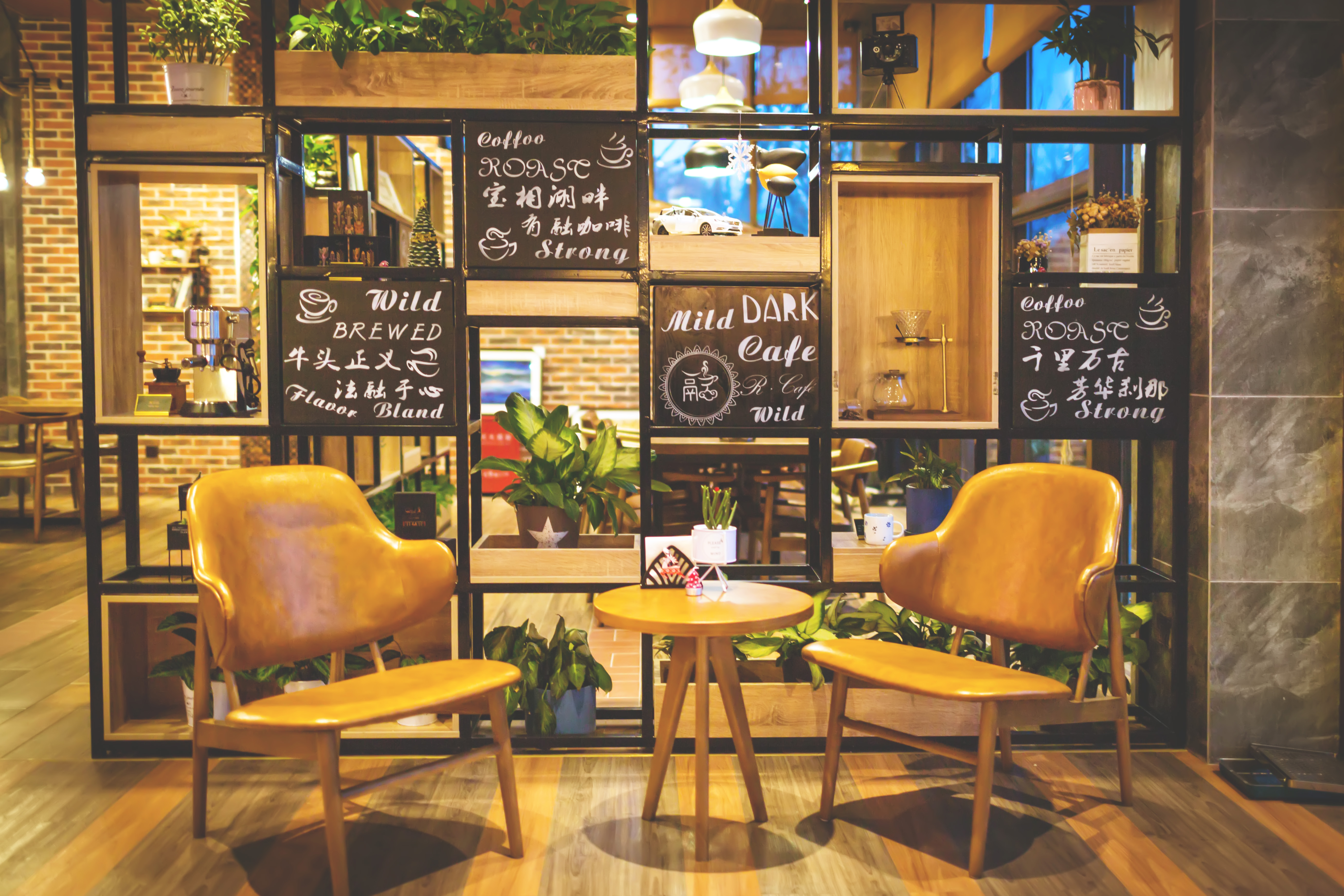 释迦牟尼舍利子头盖骨,释迦牟尼的真身头盖骨