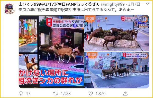 少了中国游客，整个旅游生态圈都乱了！