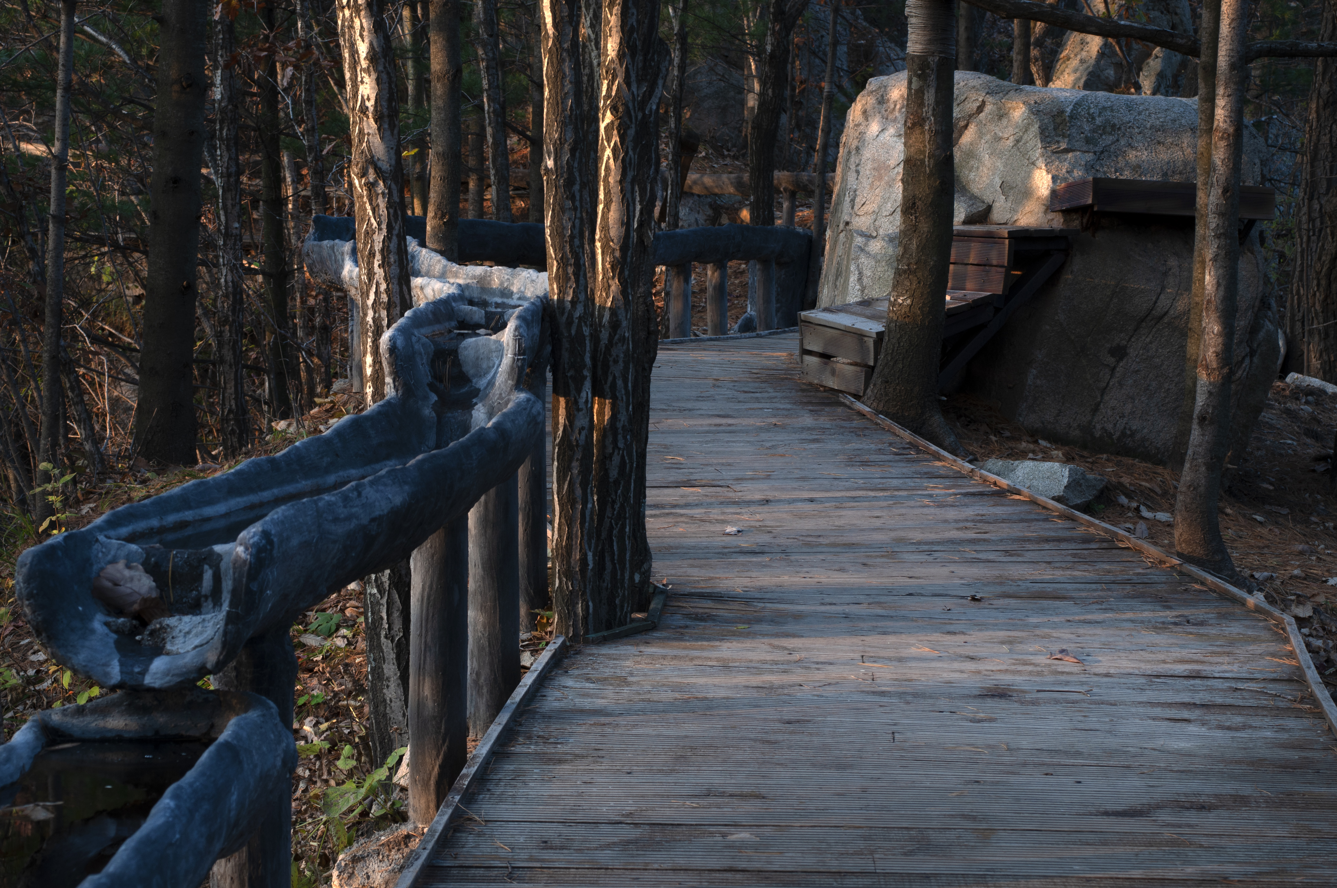 老界岭夏日风景,深秋山里的风景