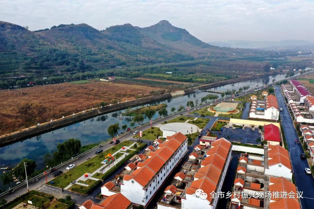 乡村振兴走进临沂,乡村振兴临沂现场会