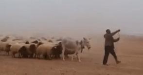 震撼心灵的星空酒店,只在青海