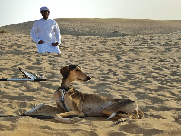迪拜不为人知的秘密,迪拜的不为人知的事情