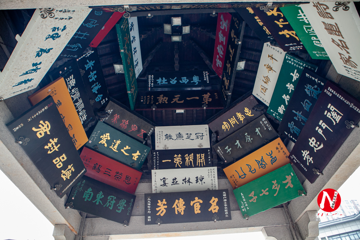 兴化三日游自驾游路线,去兴化看油菜花海攻略