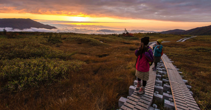 不去韩国和日本旅游去哪里,大阪和名古屋哪个离东京近