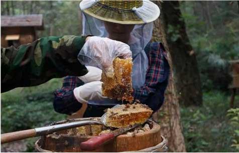蜂蜜不能乱喝详解各种蜂蜜知识,蜂蜜有什么缺点和危害