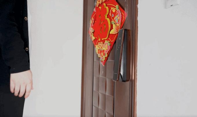 德施曼智能锁3d人脸识别评测,德施曼麒麟r82024年