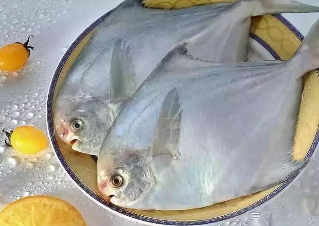 防城港怎么吃海鲜便宜不被坑,防城港干货海鲜有哪些