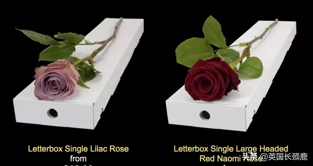 情人节来了怎么少的了fafa？英国鲜花速递服务大盘点：浪漫满分