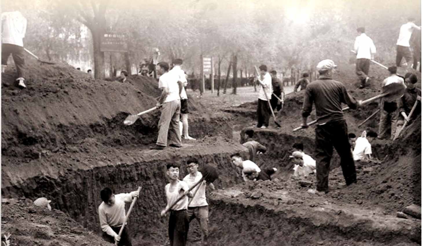 兴庆宫公园改造后还有游乐场吗,兴庆宫公园改造可以进去吗